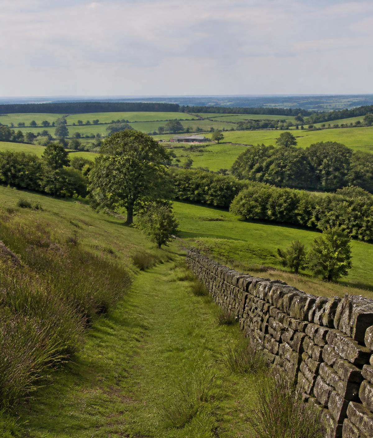 A grassy footpath running beside a dry stone wall across open English countryside